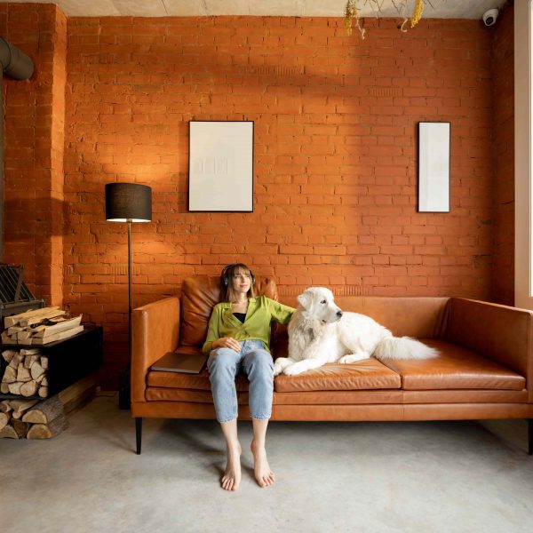 Woman with Dog pondering what she was entitled to after divorce