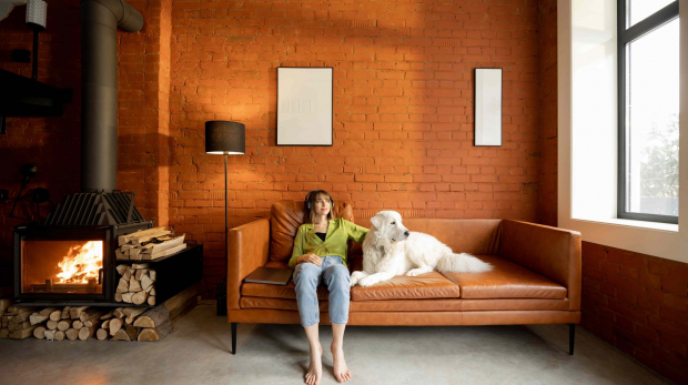 Woman with Dog pondering what she was entitled to after divorce