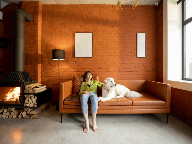 Woman with Dog pondering what she was entitled to after divorce